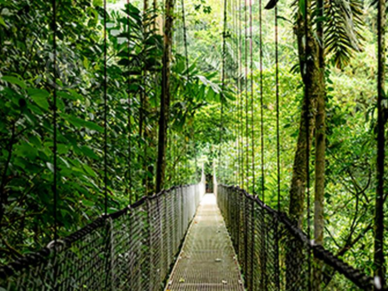 Ноутбук HP ProBook 4 G1a 16 16" (B9ZJ2ET) pike silver - фото 13 Ноутбук HP ProBook 4 G1a 16 16" (B9ZJ2ET) pike silver - фото 13