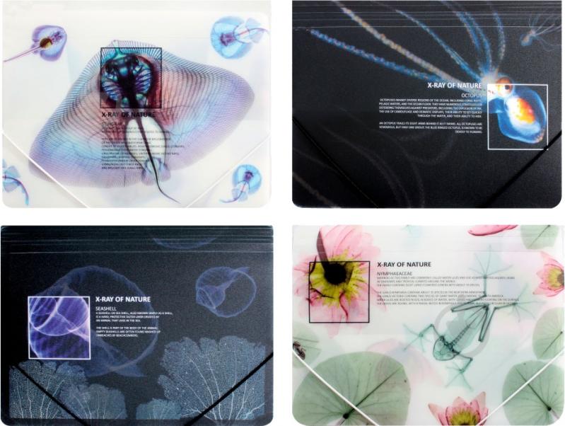 Папка O30697 X-RAY Optima - фото 1