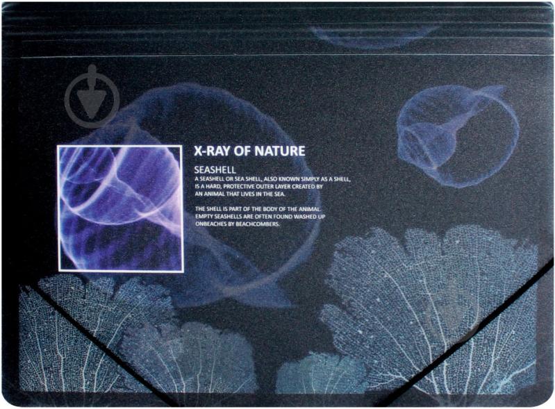 Папка O30697 X-RAY Optima - фото 4