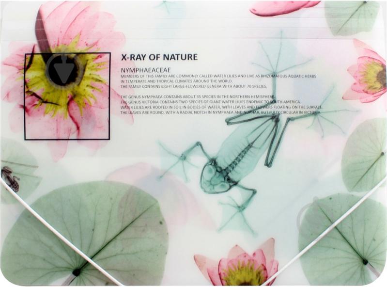 Папка O30697 X-RAY Optima - фото 5