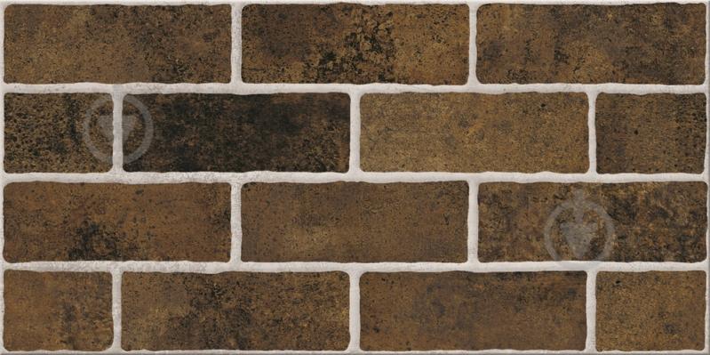 Плитка Cersanit Lukas Brown Structure 29,8x59,8 см - фото 1