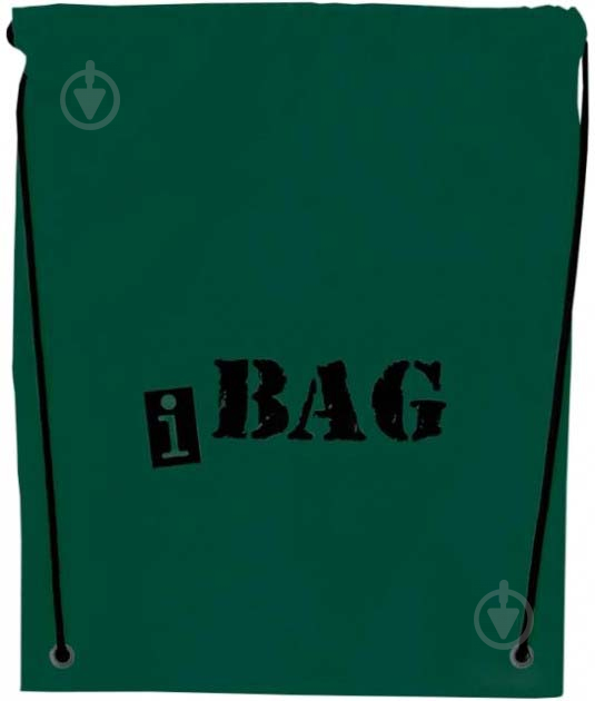 Сумка для обуви iBag (E80162-04) Economix - фото 1