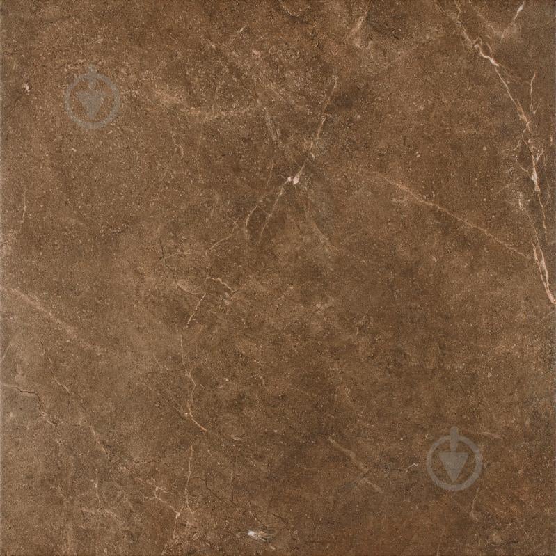 Плитка Ceramika Paradyz Ibis brown gres szkl. Mat. 60x60 - фото 2