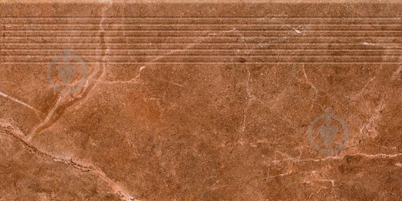 Плитка Ceramika Paradyz Ibis brown stopnica prosta mat 30x60 см - фото 3