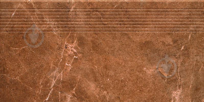 Плитка Ceramika Paradyz Ibis brown stopnica prosta mat 30x60 см - фото 2