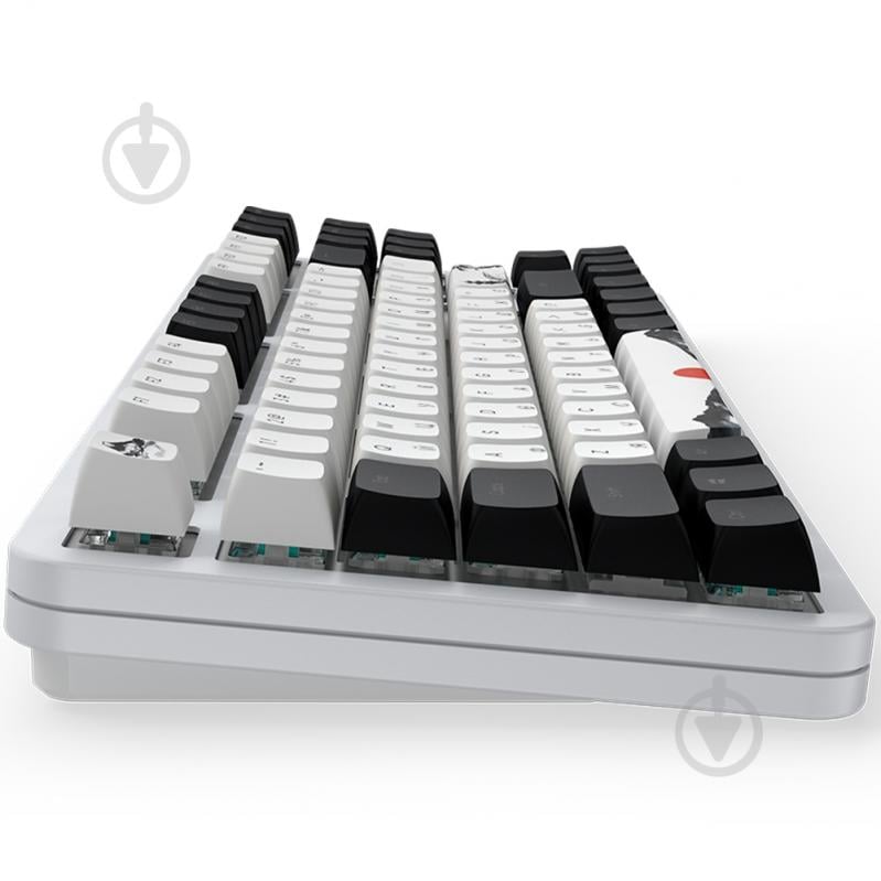 Клавіатура ігрова Dark Project ALU87 Fuji II Mechanical (DPKB_FUJI_87_ANSI) white/black - фото 5 Клавіатура ігрова Dark Project ALU87 Fuji II Mechanical (DPKB_FUJI_87_ANSI) white/black - фото 5