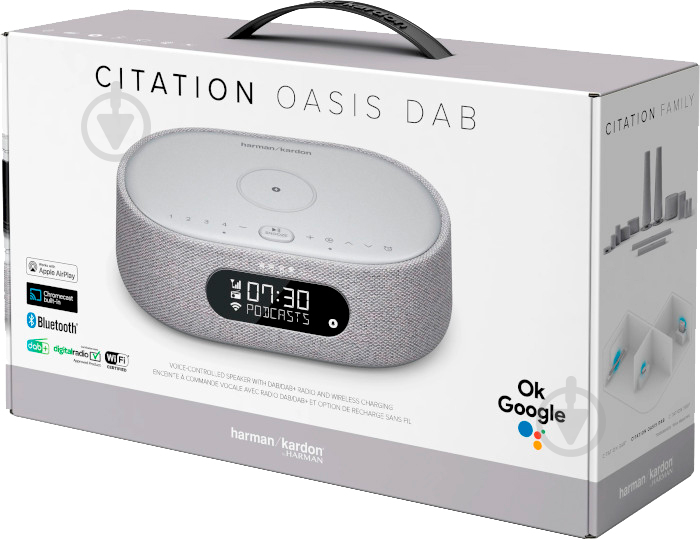 Акустическая система Harman Kardon Citation Oasis FM gray (HKCITAOASISFMGRYEP) - фото 10