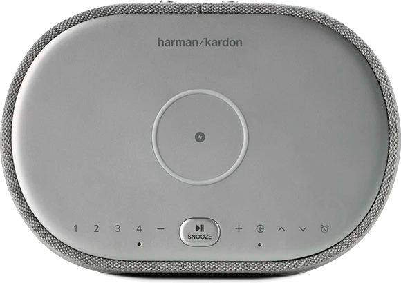 Акустическая система Harman Kardon Citation Oasis FM gray (HKCITAOASISFMGRYEP) - фото 3