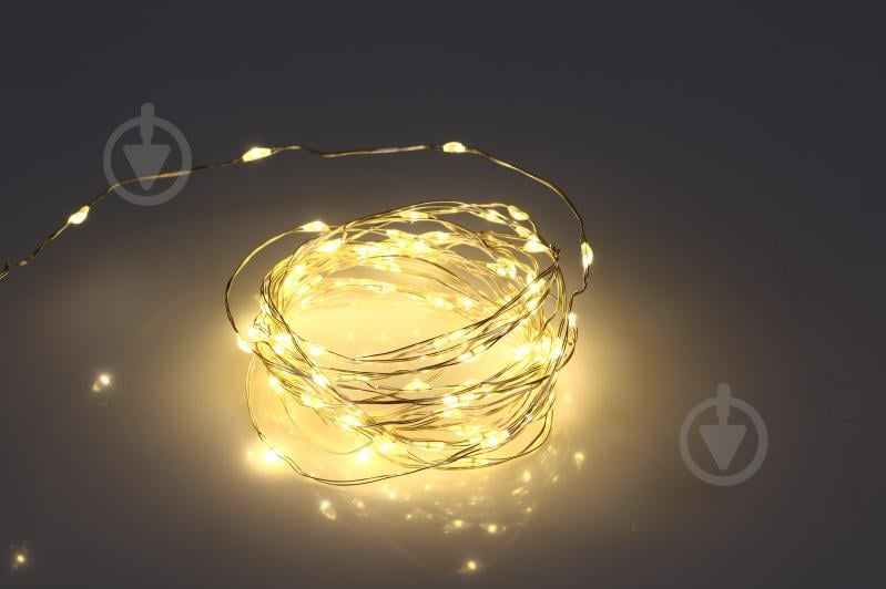 Електрогірлянда світлодіодна Koopman вбудований світлодіод (LED) 100 ламп 4,95 м (AX9731540) - фото 1