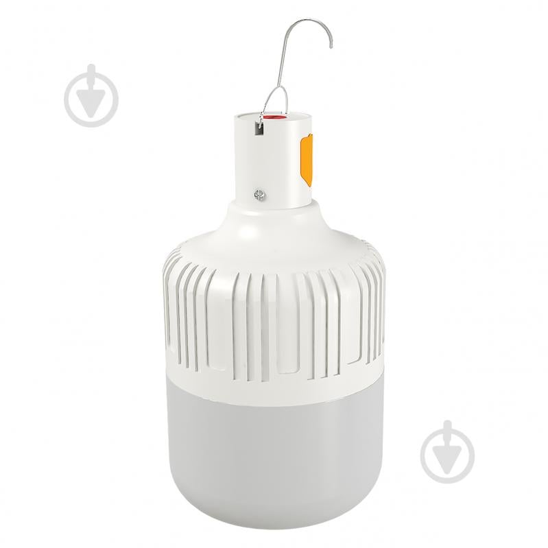ᐉ Лампа аккумуляторная Hopfen LED 30 Вт Т80 матовая 220 В • Купить в .