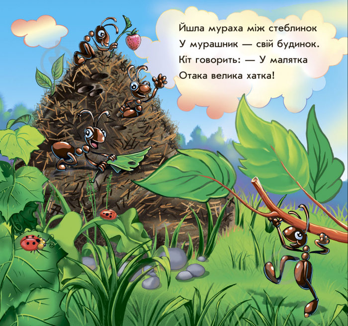 Книга Ірина Сонечко «Моє любе кошенятко» 978-966-748-143-8 - фото 3