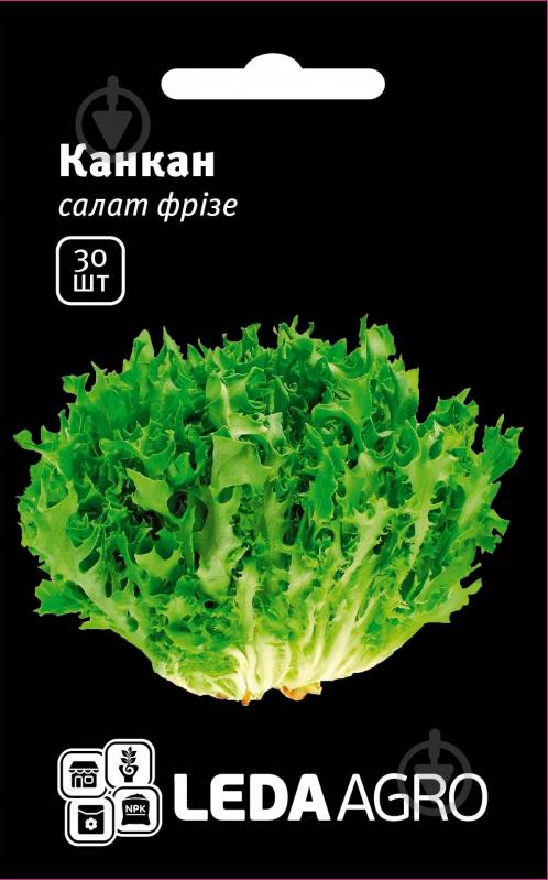 Насіння LedaAgro салат Канкан фрізе 30 шт. (4820119797952) - фото 1