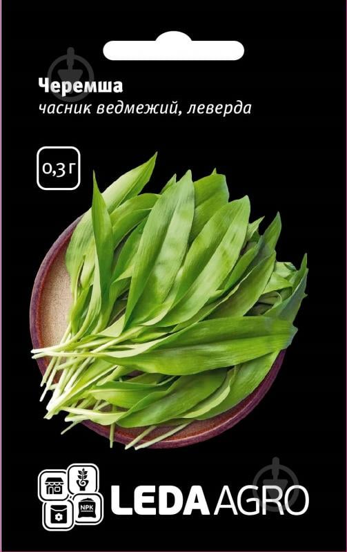 Семена LedaAgro черемша Чеснок медвежий 0,3 г (4820119794531) - фото 1