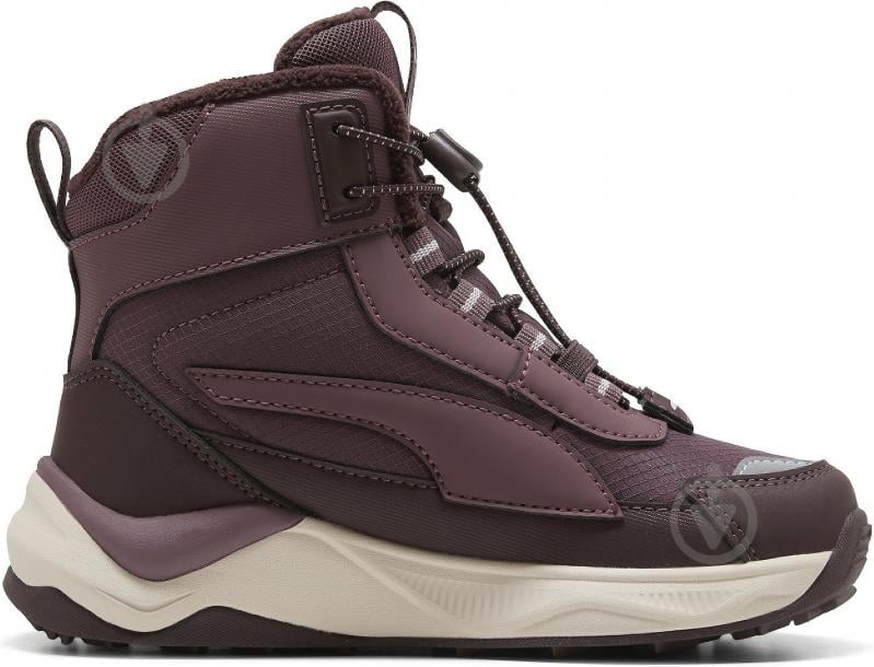 Ботинки Puma Evolve 2.0 Boot PS 31380902 р.34,5 бордовый - фото 3