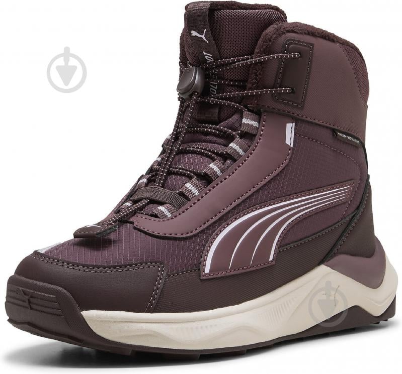 Черевики Puma Evolve 2.0 Boot JR 31380802 р.39 бордовий - фото 4