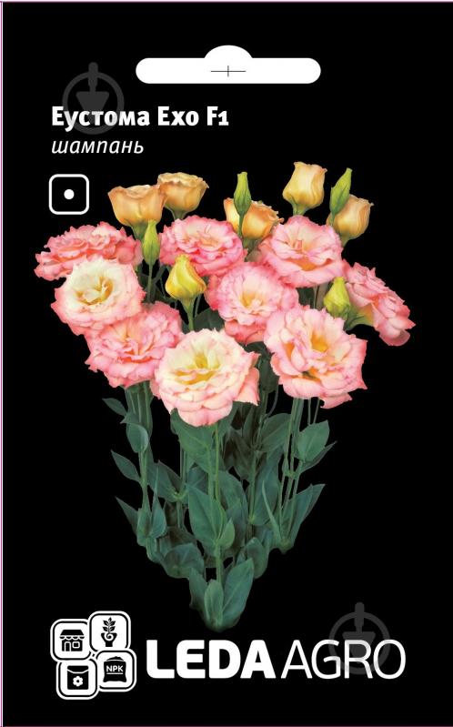 Семена LedaAgro эустома Эхо F1 шампань 5 шт. (4820119795972) - фото 1
