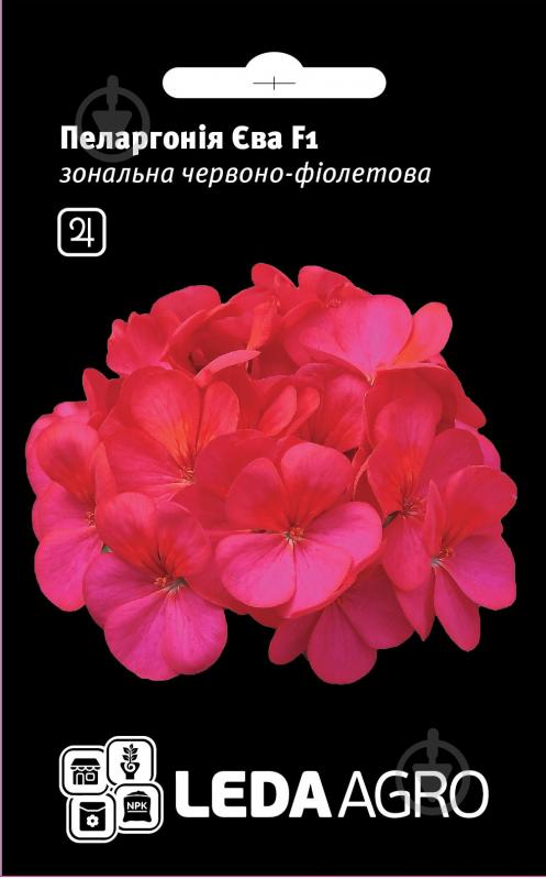 Насіння LedaAgro пеларгонія Єва F1 5 шт. (4820119795637) - фото 1