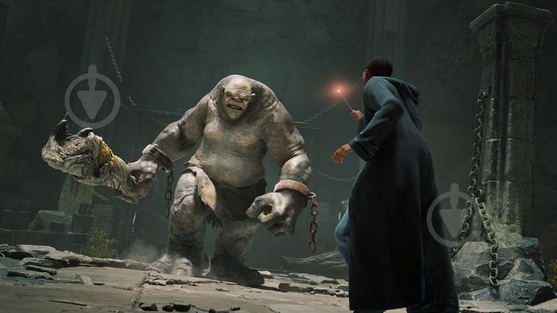 Игра Hogwarts Legacy Deluxe Edition (Nintendo Switch) - фото 9