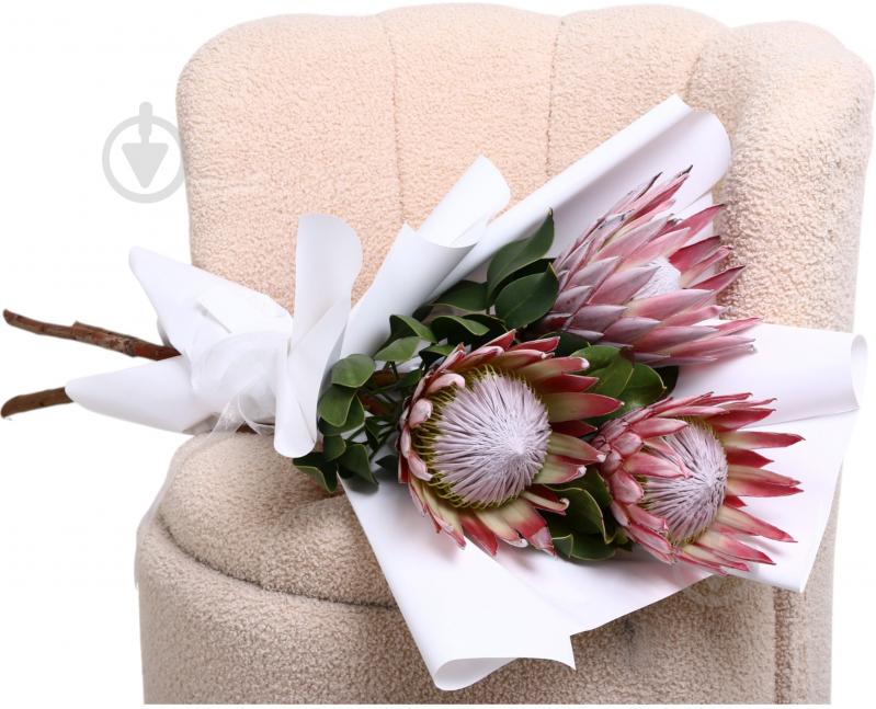 Протея Cynaroides рожева (Нідерланди) - фото 2