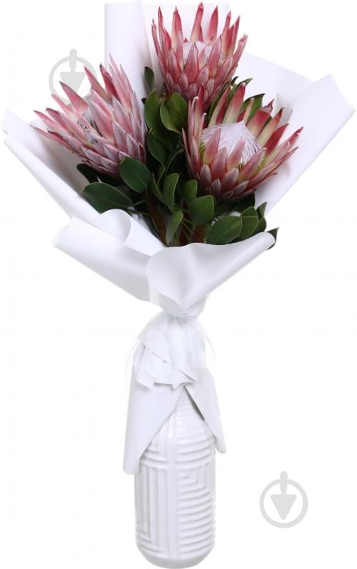 Протея Cynaroides рожева (Нідерланди) - фото 1