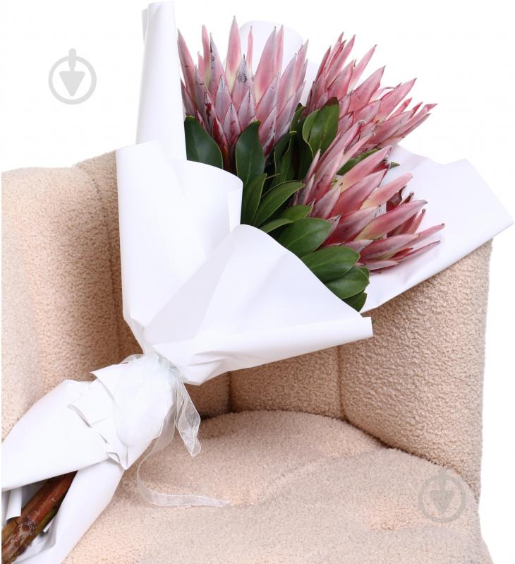 Протея Cynaroides рожева (Нідерланди) - фото 3