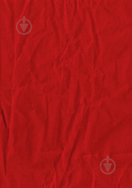 Книга Андреас Кениг «Заєць Гібіскус і друзі-нерозлийвода» 978-617-8287-46-7 - фото 2 Книга Андреас Кениг «Заєць Гібіскус і друзі-нерозлийвода» 978-617-8287-46-7 - фото 2