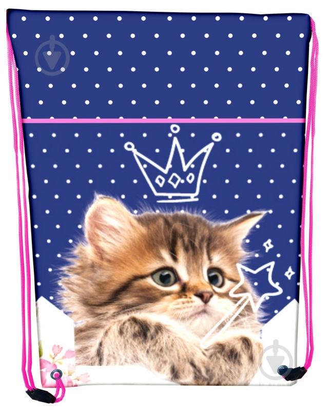 Сумка для обуви CLASS Kitten 46x33 см 2124C - фото 1 Сумка для обуви CLASS Kitten 46x33 см 2124C - фото 1