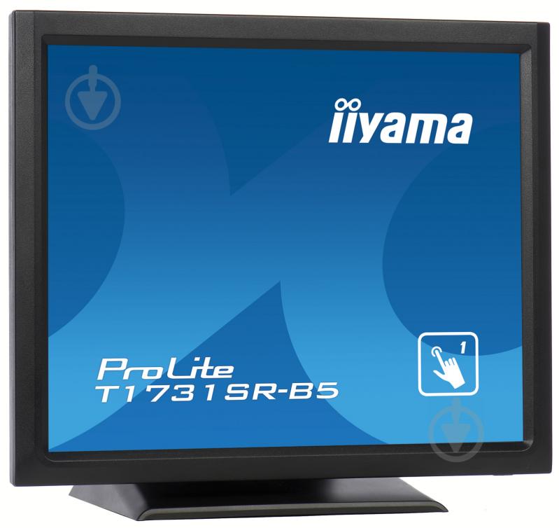 Монитор Iiyama ProLite 17" (T1731SR-B5) - фото 2