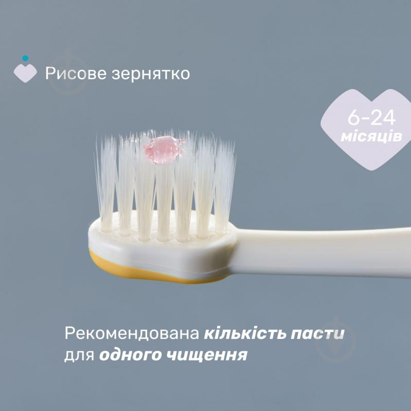 Зубная щетка Chicco для первых зубов 6-36 мес. 2 шт. 12082.11 очень мягкая 2 шт. - фото 4