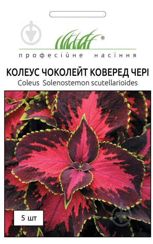 Насіння Професійне насіння колеус Чоколейт коверд чері 5 шт. (4823058203386) - фото 1