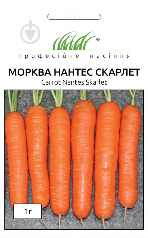 Насіння Професійне насіння морква Нантес скарлет 1 г (4820176692238) - фото 1 Насіння Професійне насіння морква Нантес скарлет 1 г (4820176692238) - фото 1