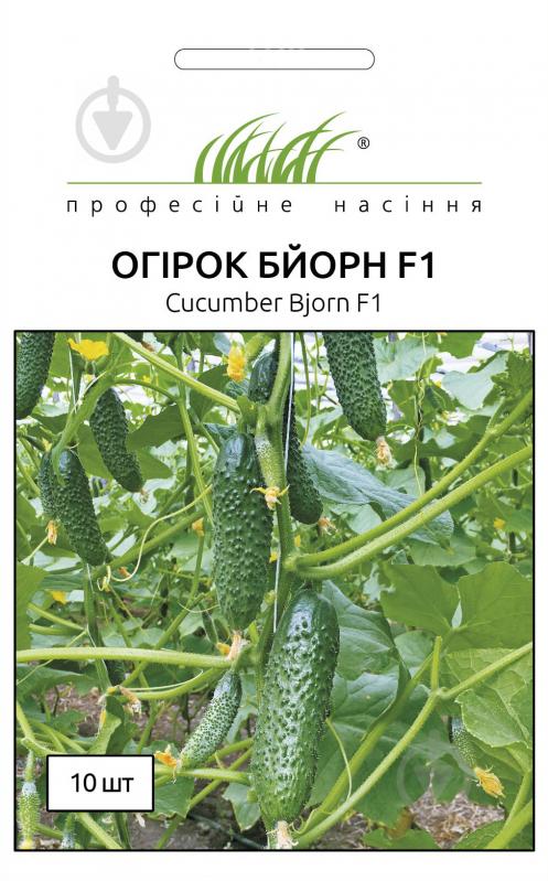 Насіння Професійне насіння огірок Бйорн F1 10 шт. (4820176693846) - фото 1