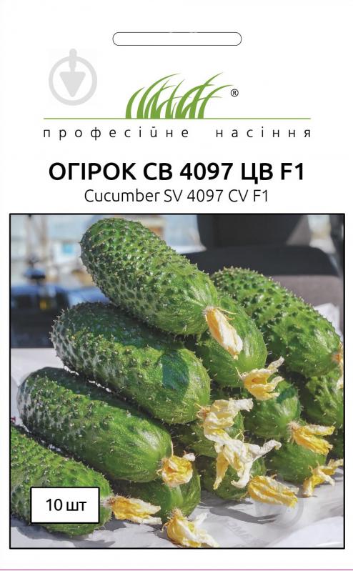 Насіння Професійне насіння огірок СВ 4097 ЦВ F1 10 шт. (4820176693839) - фото 1