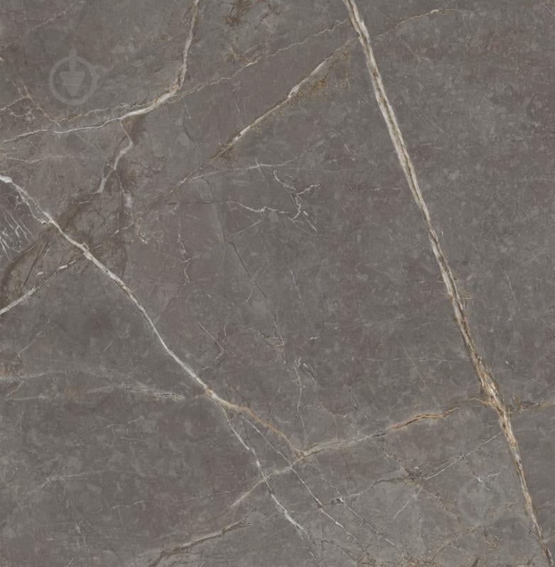 Плитка Allore Group Pietra Taupe F P R Somat 60х60 см - фото 11