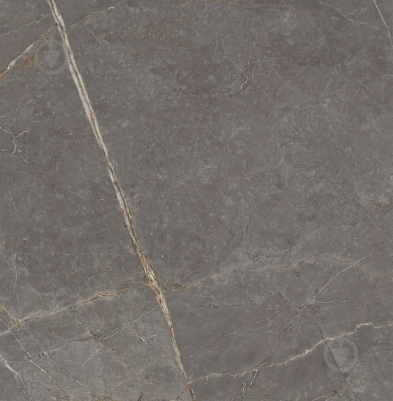 Плитка Allore Group Pietra Taupe F P R Somat 60х60 см - фото 6