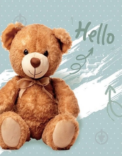 Альбом UFO 10x15x200 PP-46200 Hello bear - фото 1 Альбом UFO 10x15x200 PP-46200 Hello bear - фото 1