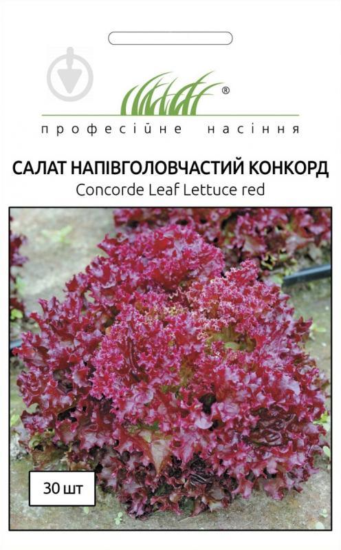 Насіння Професійне насіння салат Конкорд 30 шт. (4820176694140) - фото 1