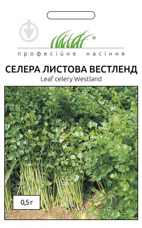 Семена Професійне насіння сельдерей листовой Вестленд 0,5 г (4823058202266) - фото 1