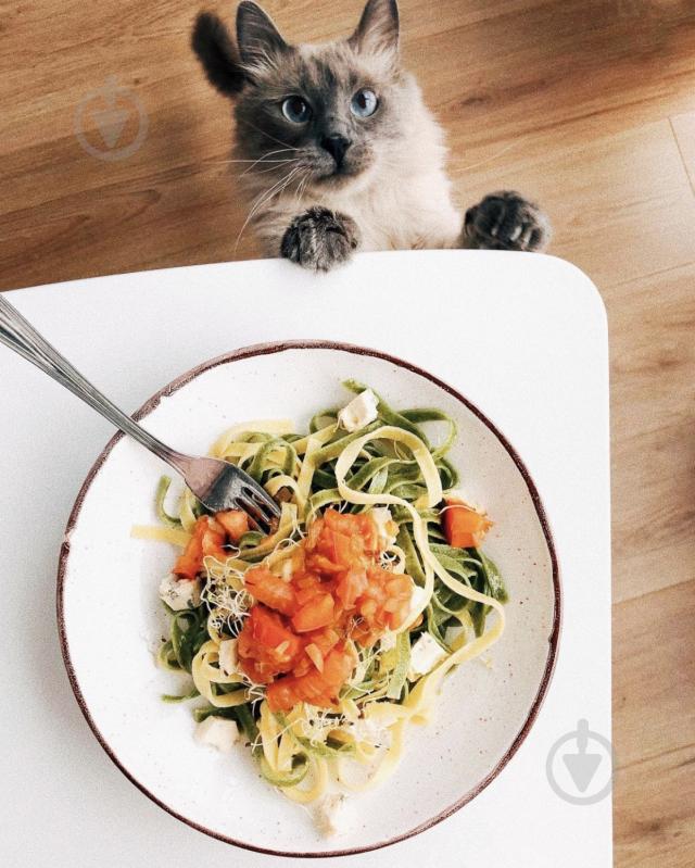 Тарілка Manna Ceramics з високим бортиком 22 см Мілк - фото 3