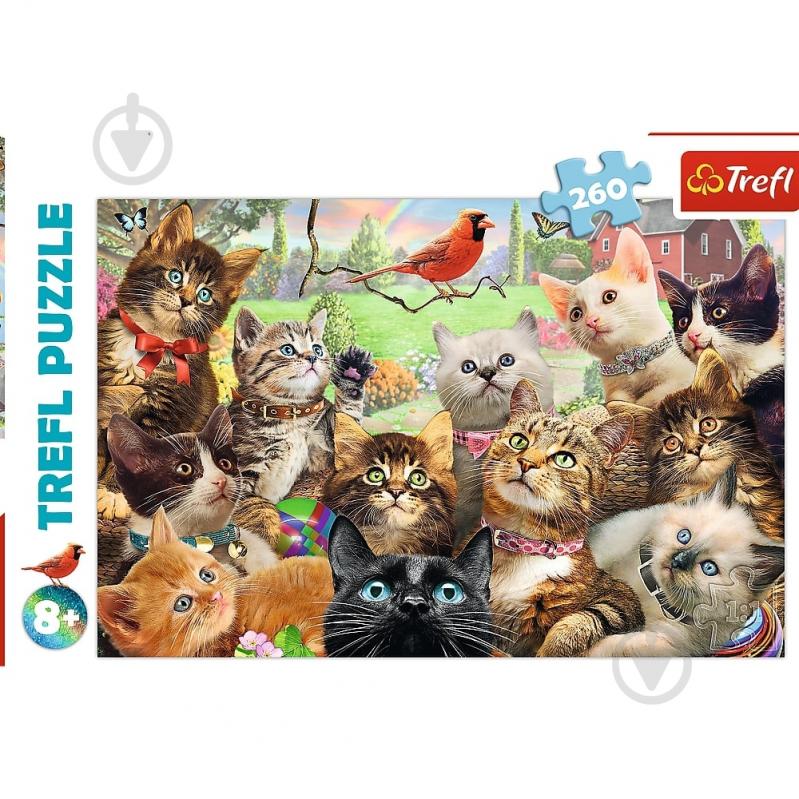 Пазлы Trefl Котята 260 элементов 6333671 - фото 2 Пазлы Trefl Котята 260 элементов 6333671 - фото 2