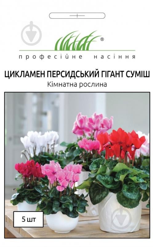 Насіння Професійне насіння цикламен Персидський гігант суміш 5 шт. (4823058202693) - фото 1