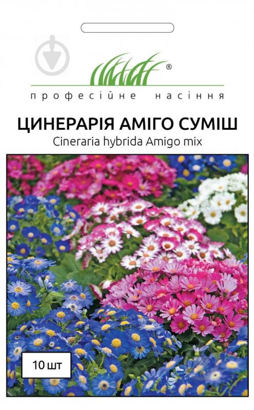 Семена Професійне насіння цинерария Амиго смесь 10 шт. (4823058205601) - фото 1