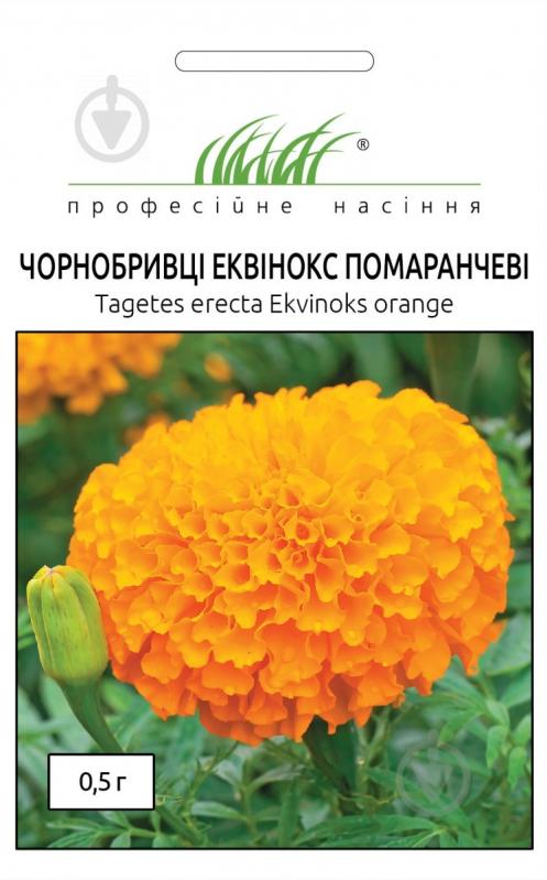 Семена Професійне насіння бархатцы Эквинокс оранжевые 0,5 г (4823058202761) - фото 1