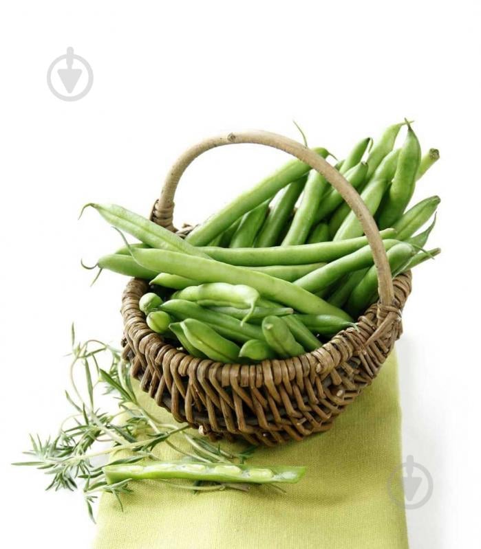 Насіння Професійне насіння квасоля Карнеліно 10 г (4820176690289) - фото 2