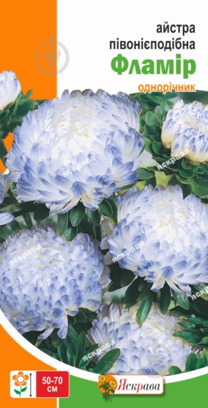 Семена Яскрава астра пионовидная пионовидная Фламир - фото 1