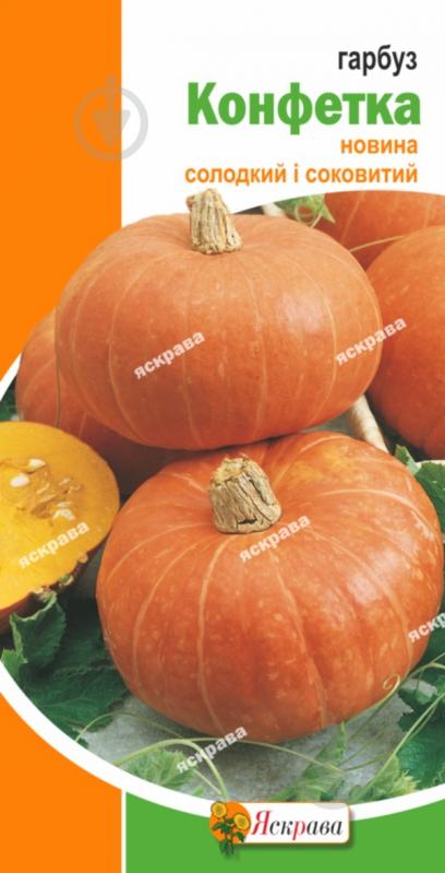 Семена Яскрава тыква Конфетка - фото 1