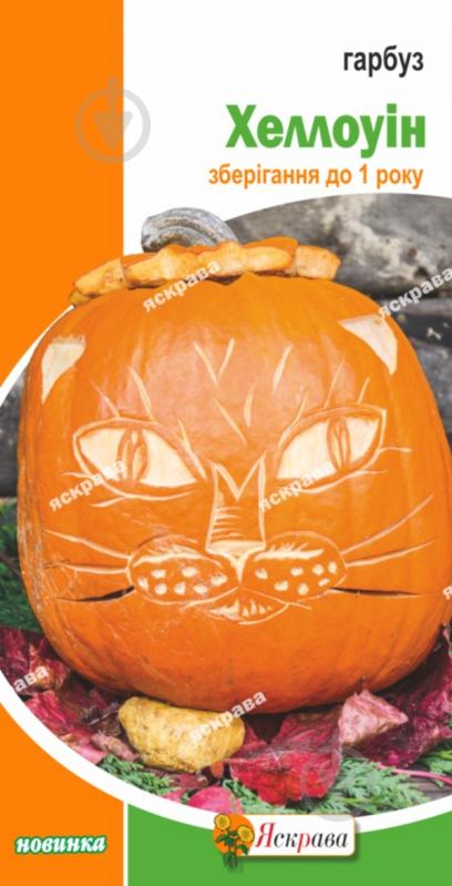 Семена Яскрава тыква Хэллоуин - фото 1 Семена Яскрава тыква Хэллоуин - фото 1