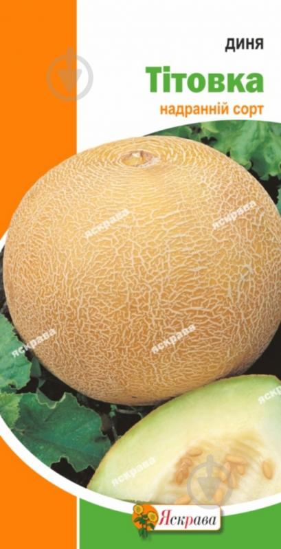 Семена Яскрава дыня Титовка - фото 1 Семена Яскрава дыня Титовка - фото 1