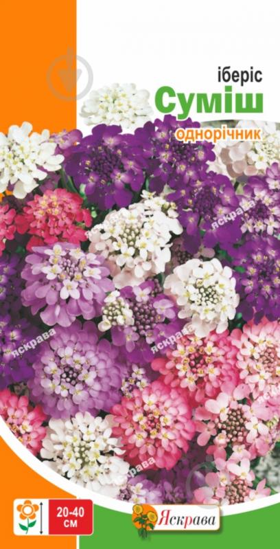 Семена Яскрава иберис смесь - фото 1 Семена Яскрава иберис смесь - фото 1