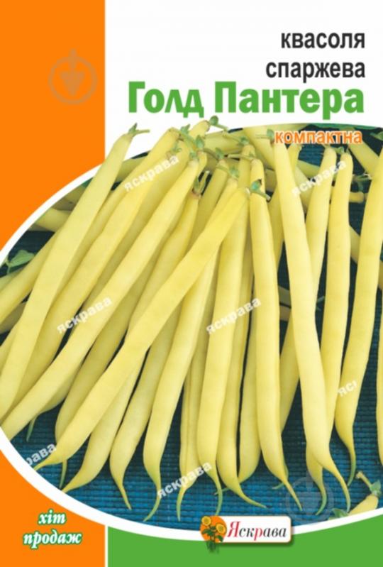 Семена Яскрава фасоль спаржевая спаржевая Голд Пантера - фото 1 Семена Яскрава фасоль спаржевая спаржевая Голд Пантера - фото 1